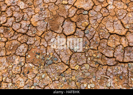 La texture du sol fissuré sec sol gras. Banque D'Images