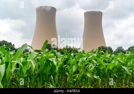 Tours de refroidissement de la centrale nucléaire Grohnde,Allemagne Banque D'Images