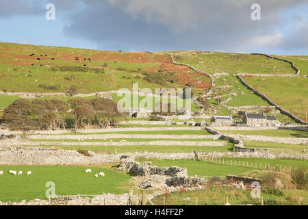 Mur de pierres sèches domaine pattens, Parc National de Snowdonia, le nord du Pays de Galles, Royaume-Uni Banque D'Images