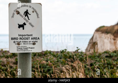 Inscription d'un avertissement de pluie et le salon des oiseaux sur les falaises à Botany Bay, sur l'avant-pays du Nord, Kent Banque D'Images