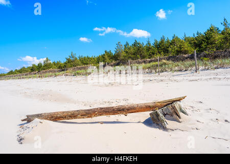 Tronc d'arbre sur le sable sec à Debki plage, mer Baltique, Pologne Banque D'Images