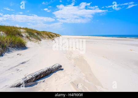 Sur le tronc de l'arbre sec et de la plage des dunes de sable en vue Lubiatowo village côtier, mer Baltique, Pologne Banque D'Images