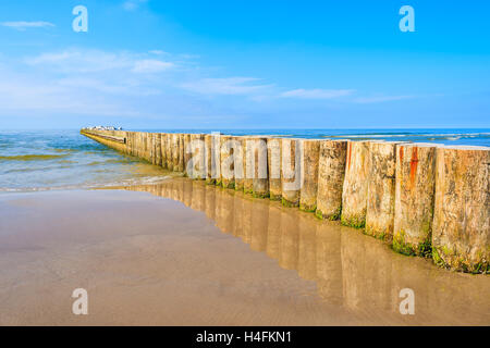 Les brise-lames en bois sur la plage de sable de Leba en fin d'après-midi, la mer Baltique, la Pologne Banque D'Images