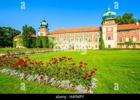 Roses rouges dans les jardins du château de Lancut magnifique aux beaux jours de l'été, Pologne Banque D'Images