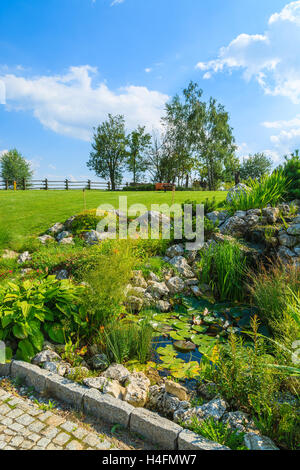 Les plantes qui poussent autour de l'étang de l'eau dans un jardin verdoyant aux beaux jours de l'été, Pologne Banque D'Images