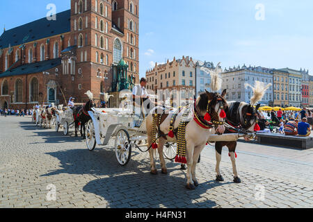 Cracovie, Pologne - 7 SEP 2014 : voitures à cheval en face de l'église Mariacki sur la place principale de la ville de Cracovie. Prendre un tour de cheval en calèche est très populaire parmi les touristes visitant Cracovie. Banque D'Images