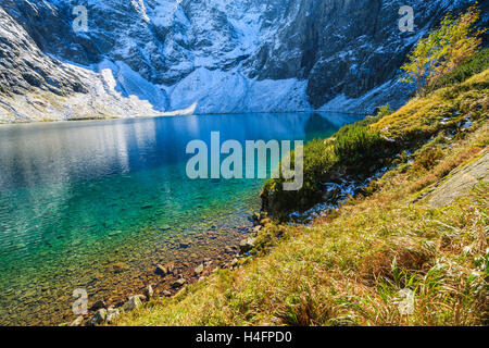 Czarny Staw lac alpin en couleurs de l'automne, Hautes Tatras, Pologne Banque D'Images