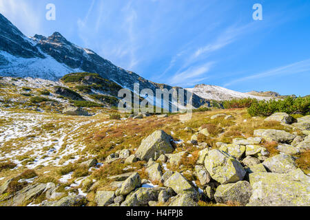 Vue sur vallée Gąsienicowa en automne, saison des Hautes Tatras, Pologne Banque D'Images