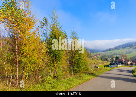 Couleurs d'automne d'arbres le long d'une route de village Banica sur Beskid Niski journée ensoleillée, Montagnes, Pologne Banque D'Images