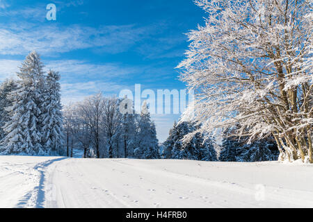 La route d'hiver dans les montagnes Beskid Sadecki et ensoleillée, ciel bleu, Pologne Banque D'Images