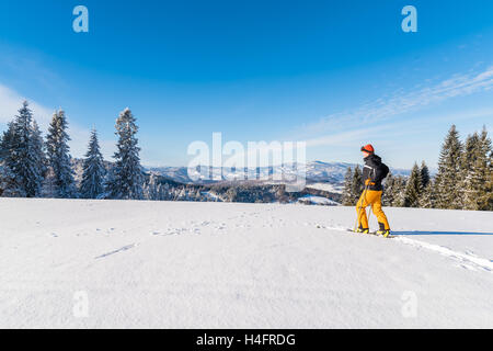 Skieur dans paysage d'hiver des montagnes de Beskid Sadecki journée ensoleillée, Pologne Banque D'Images