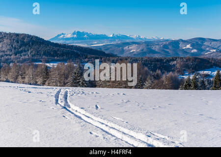 Vue sur montagnes Tatra à partir de la piste de ski en hiver paysage de montagnes Beskid Sadecki, Pologne Banque D'Images