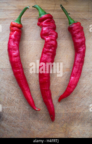 Poivrons rouges skinny long et chaud pour être utilisé dans la cuisine, la nourriture a inspiré Banque D'Images