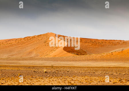 Dunes de Sossusvlei, Namibie Banque D'Images