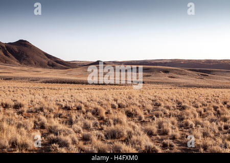 Les cercles de fées sur dunes gazonnées à Sossusvlei, Namibie Banque D'Images