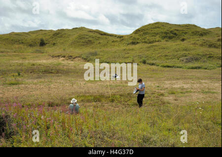 Étude botanique à Kenfig Dunes Banque D'Images