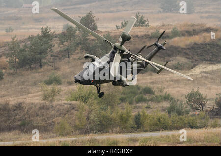 Munster, Allemagne. 14Th Oct, 2016. Un hélicoptère de combat Tiger vole à travers la zone d'entraînement militaire dans le contexte de la pratique éducative d'information 'Land Operations 2016' près de Munster, Allemagne, 14 octobre 2016. Avec soldats néerlandais, les forces armées allemandes pratique la coopération entre l'armée, les services ambulanciers et les unités de la soi-disant service de soutien interarmées du 4 au 14 octobre. PHOTO : SEBASTIAN GOLLNOW/dpa/Alamy Live News Banque D'Images