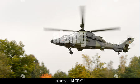 Munster, Allemagne. 14Th Oct, 2016. Un hélicoptère de combat Tiger vole à travers les arbres dans le cadre de la pratique éducative d'information 'Land Operations 2016' dans la la zone d'entraînement militaire près de Munster, Allemagne, 14 octobre 2016. Avec soldats néerlandais, les forces armées allemandes pratique la coopération entre l'armée, les services ambulanciers et les unités de la soi-disant service de soutien interarmées du 4 au 14 octobre. PHOTO : SEBASTIAN GOLLNOW/dpa/Alamy Live News Banque D'Images