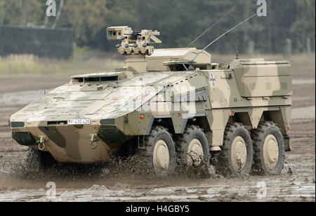 Munster, Allemagne. 14Th Oct, 2016. Un véhicule de transport de troupes blindés (GTK) lecteurs de Boxer dans le cadre de la pratique éducative d'information 'Land Operations 2016' dans la zone d'entraînement militaire près de Munster, Allemagne, 14 octobre 2016. Avec soldats néerlandais, les forces armées allemandes pratique la coopération entre l'armée, les services ambulanciers et les unités de la soi-disant service de soutien interarmées du 4 au 14 octobre. PHOTO : SEBASTIAN GOLLNOW/dpa/Alamy Live News Banque D'Images