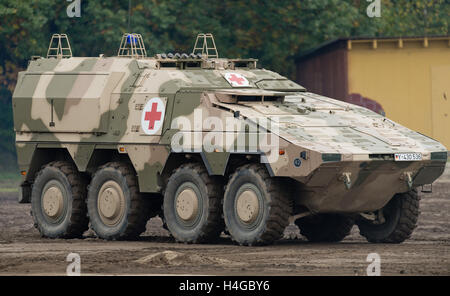 Munster, Allemagne. 14Th Oct, 2016. Un véhicule de transport de troupes blindés (GTK) Boxer équipé pour les lecteurs du service médical dans le cadre de la pratique éducative d'information 'Land Operations 2016' dans la zone d'entraînement militaire près de Munster, Allemagne, 14 octobre 2016. Avec soldats néerlandais, les forces armées allemandes pratique la coopération entre l'armée, les services ambulanciers et les unités de la soi-disant service de soutien interarmées du 4 au 14 octobre. PHOTO : SEBASTIAN GOLLNOW/dpa/Alamy Live News Banque D'Images