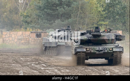 Munster, Allemagne. 14Th Oct, 2016. Deux chars de combat Leopard 2 conduire en tandem dans le cadre de la pratique éducative d'information 'Land Operations 2016' dans la zone d'entraînement militaire près de Munster, Allemagne, 14 octobre 2016. Avec soldats néerlandais, les forces armées allemandes pratique la coopération entre l'armée, les services ambulanciers et les unités de la soi-disant service de soutien interarmées du 4 au 14 octobre. PHOTO : SEBASTIAN GOLLNOW/dpa/Alamy Live News Banque D'Images