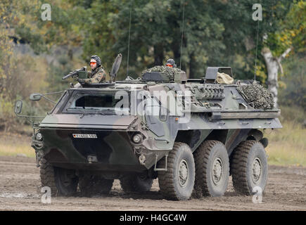 Munster, Allemagne. 14Th Oct, 2016. Un transporteur tank Fuchs durs dans la boue dans le contexte de la pratique éducative d'information 'Land Operations 2016' dans la zone d'entraînement militaire près de Munster, Allemagne, 14 octobre 2016. Avec soldats néerlandais, les forces armées allemandes pratique la coopération entre l'armée, les services ambulanciers et les unités de la soi-disant service de soutien interarmées du 4 au 14 octobre. PHOTO : SEBASTIAN GOLLNOW/dpa/Alamy Live News Banque D'Images