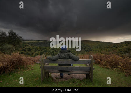 Exmoor National Park, Royaume-Uni. 16 Oct, 2016. Une bande de fortes averses et nuages de tempête de la forme sur le bois et les maures Horner du Somerset national park après une journée de soleil mixte et diluviennes. La Combe boisée reçoit de fortes pluies à un randonneur montres à partir d'un banc en bois sur la vallée. Wayne Farrell/Alamy News Banque D'Images