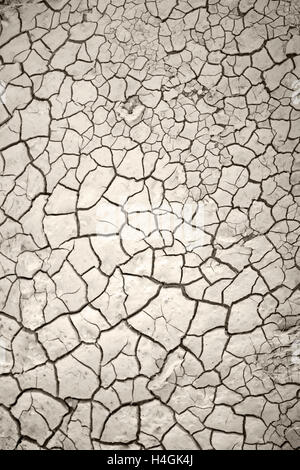 Close up d'un champ touchées par la sécheresse dans le nord-ouest du Texas. Banque D'Images