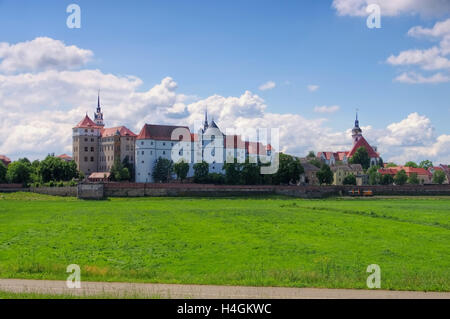 Burg Torgau Sachsen dans Hartenfels - Château Hartenfels à Torgau en Saxe, Allemagne Banque D'Images