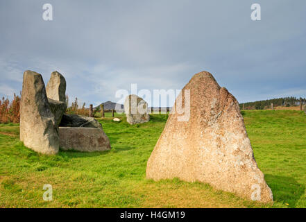 Vue d'une partie de l'Aquhorthies Pâques Stone Circle près de Inverurie, Aberdeenshire, Ecosse, Royaume-Uni. Banque D'Images