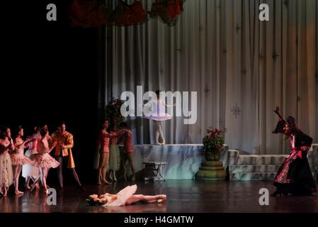 Manila, Philippines. 15 Oct, 2016. La Fée Des Lilas apparaît juste après la méchante sorcière maléfique (maudit) Princess Aurora. © George Buid/Pacific Press/Alamy Live News Banque D'Images
