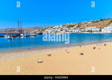 Plage de sable dans le port de Mykonos, Cyclades, Grèce Banque D'Images