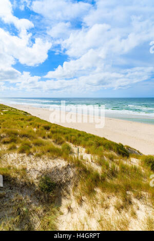 L'herbe sur dune de sable et vue sur la plage de l'île de Sylt, village de liste, Allemagne Banque D'Images