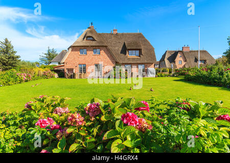 Maisons traditionnelles aux toits de chaume en campagne de l'île de Sylt à Kampen village, Allemagne Banque D'Images