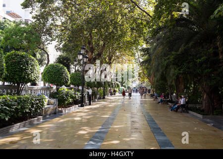 Paseo de La Alameda - l'Alameda à pied. Marbella, Costa del Sol, Málaga, Andalousie, province de l'Espagne. Banque D'Images