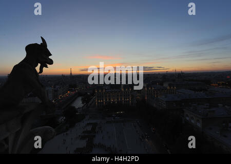 Les Chimères de Notre Dame en regardant le coucher de soleil à Paris Banque D'Images