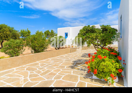 Rue typique avec des maisons blanches de style grec à Santa Maria village, l'île de Paros, Grèce Banque D'Images