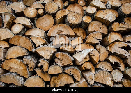 Une pile de bois de chauffage pour la gravure Banque D'Images