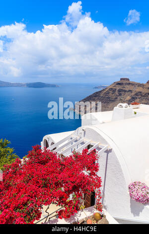 Une vue sur la caldeira et les fleurs rouges typique sur la terrasse d'une maison de village de Firostefani, Santorin, Grèce Banque D'Images