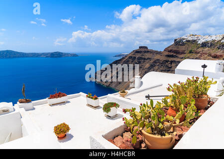 Plantes sur toit d'une maison dans un beau village de Firostefani et sur la mer, la caldeira de Santorin, Grèce Banque D'Images