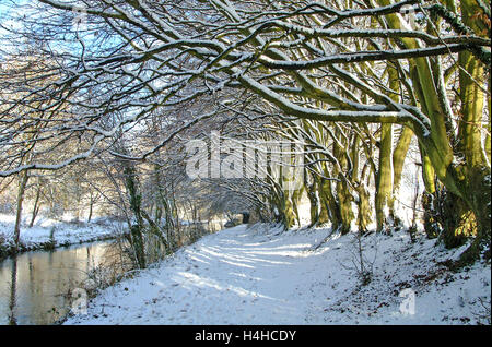 Chemin couvert de neige, le long de la piste du patrimoine Navigation Itchen, Eastleigh, Hampshire, Angleterre. Banque D'Images