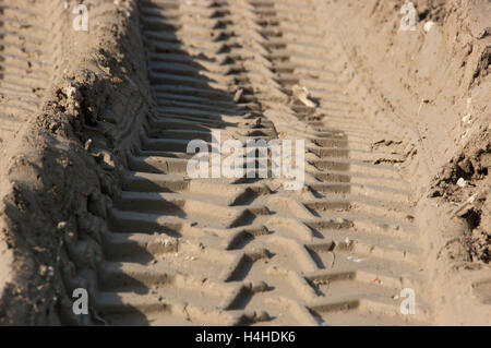 Les traces de pneus dans le sable humide d'un camion ou tracteur Banque D'Images