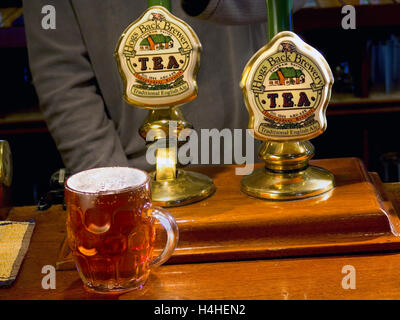 Pulling a pint of 'T.E.A.' Ale anglaise traditionnelle à la brasserie de Hog's Back à Tongham Surrey UK Banque D'Images