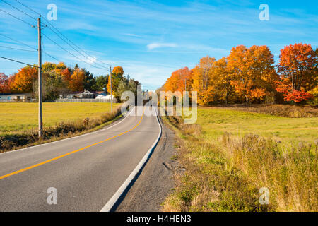Couleurs d'automne : Feuillage d'automne au Québec campagne près de Saint-Jérôme, Laurentides. Banque D'Images