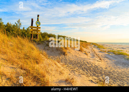 Le PARC NATIONAL SLOWINSKI, POLOGNE - JUN 21, 2016 : l'herbe sur les dunes de sable au coucher du soleil sur une plage dans le Parc National Slowinski, Baltique Banque D'Images