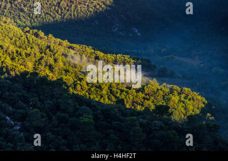 COLLINES DE LA STE BAUME, VAR FRANCE 83 Banque D'Images