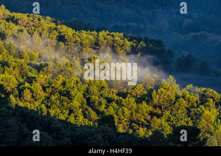 COLLINES DE LA STE BAUME, VAR FRANCE 83 Banque D'Images