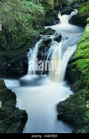 Afon Cynfal Cynfal Ceunant qui passe par la réserve naturelle nationale pour le sud de l'Llanffestinion dans le Nord du Pays de Galles. Banque D'Images