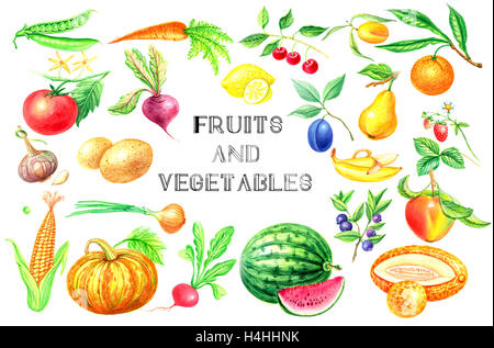 Aquarelle ensemble de fruits et légumes sur un fond blanc Banque D'Images