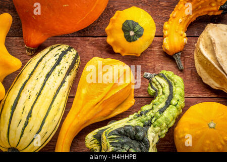 Les courges d'hiver et de courge rustique peint rouge collection contre bois grange Banque D'Images